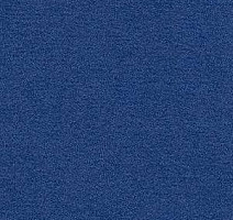 Ковролин Radici Nexus Royal 8264 фото 1 | FLOORDEALER